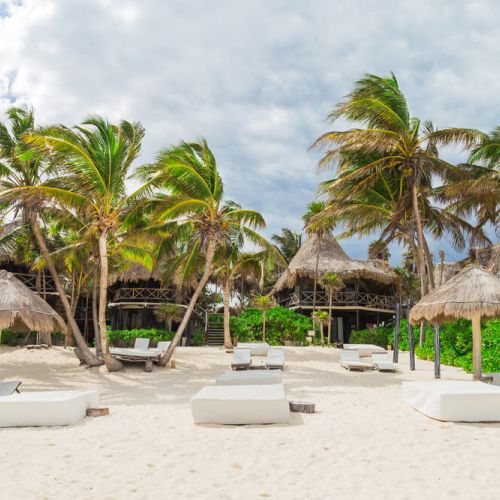 Beach beds with palapa umbrellas, in the background larger palapa structures and tall palm trees