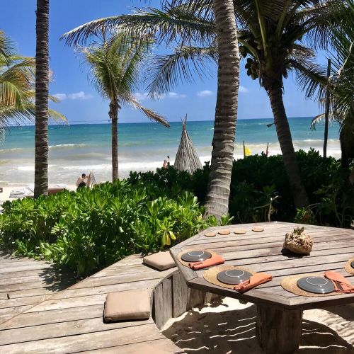 Wood table behind bushes and palm trees at the beach