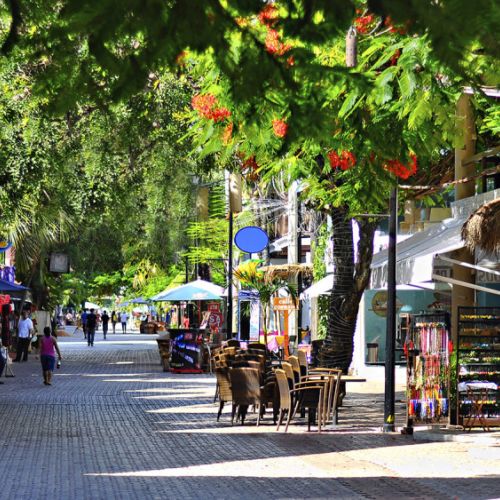 Quinta avenue at Playa del Carmen