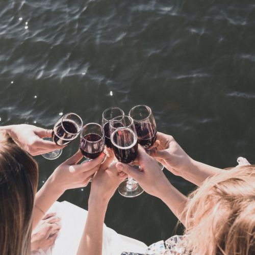 Group of girls clinking their wine glasses