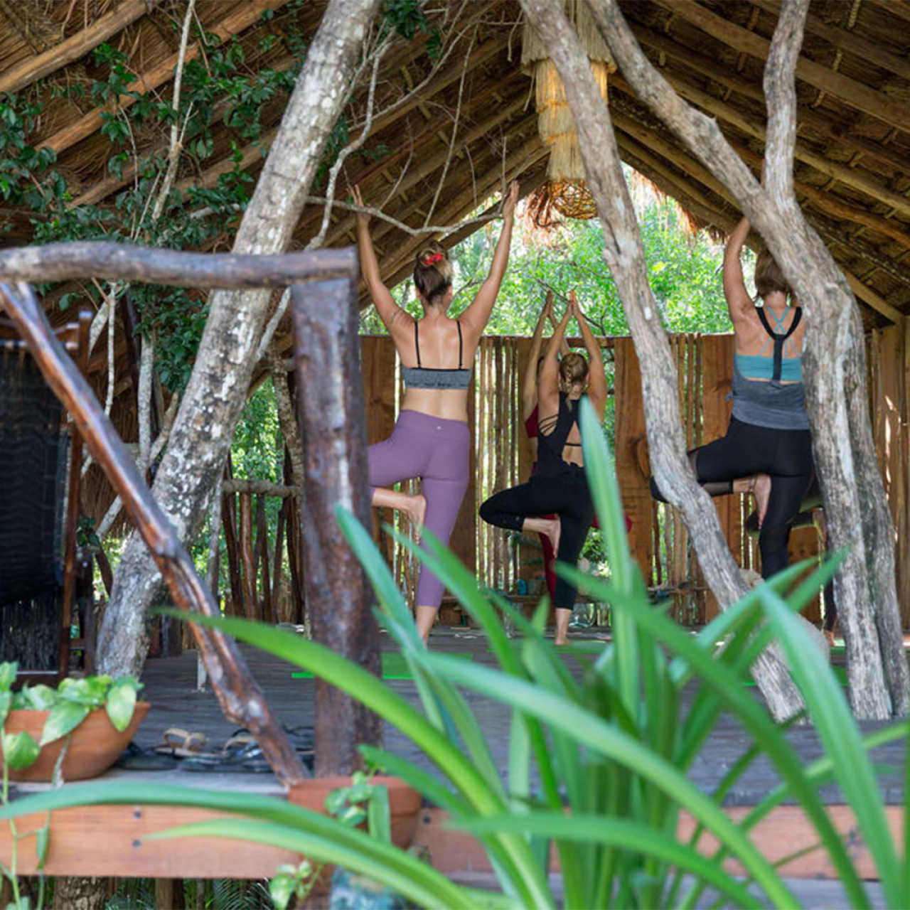 Yoga class in a palapa