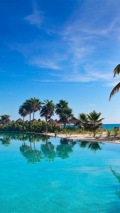 View of the turquoise ocean, palm trees on the sand and a small lifted palapa