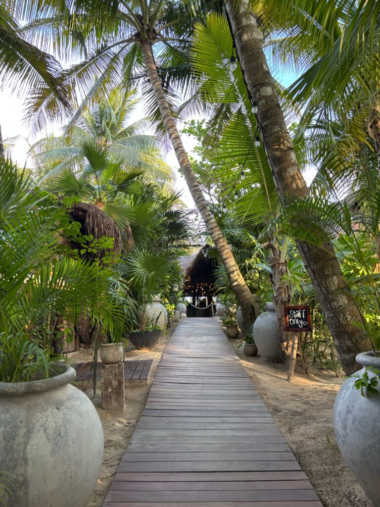 Tulum vs Playa del Carmen for Bach HQ: Which Is Easier (and Smarter) for Your Group? 1 IMG 0162