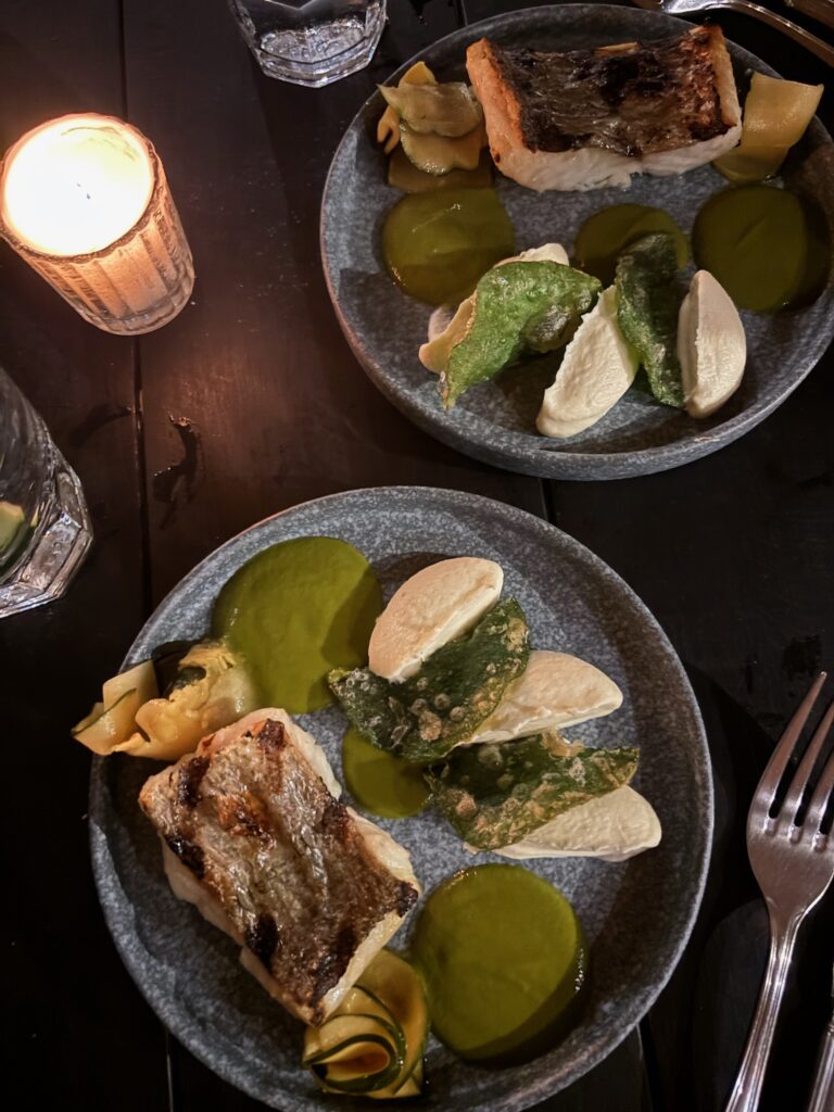 Tulum vs Playa del Carmen for Bach HQ: Which Is Easier (and Smarter) for Your Group? 3 IMG 0205